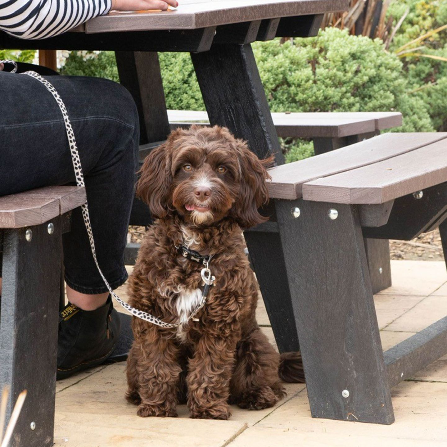 Your local dog friendly pub in Blyth
